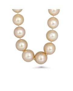 10.00-14.00 MM Round Golden Australian South Sea Pearl Necklace in 18K Yellow Gold
