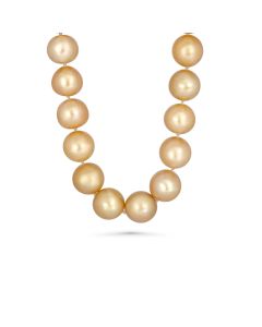 8.00-10.00 MM Round Golden Australian South Sea Pearl Necklace in 18K Yellow Gold
