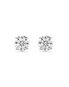 2.50 DEW White Moissanite Earring in 14K White Gold