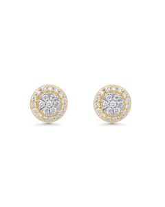 0.14 Cts White Diamond Earring in 14K Two Tone