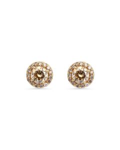 1.12 Cts Brown Diamond Earring in 14K Yellow Gold