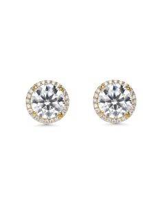 Round White Moissanite Halo Earring in 14K Yellow Gold