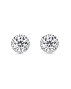 Round White Moissanite Halo Earring in 14K White Gold