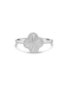 White Rhodium Plated CLOVER Ring in 925 Sterling Silver